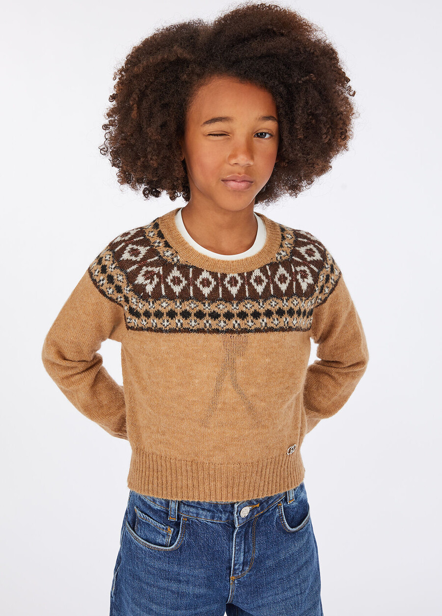 pull en jacquard mélangé alpaga