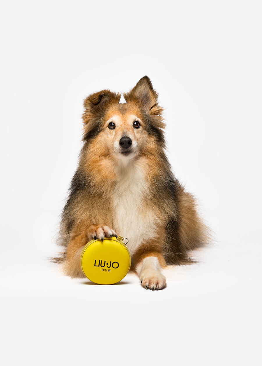 gamelle de voyage liu jo pets