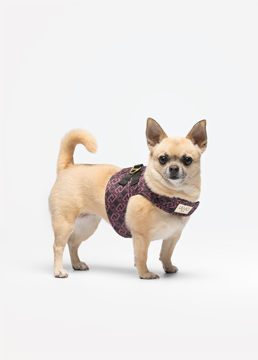 harnais pour animaux de compagnie liu jo