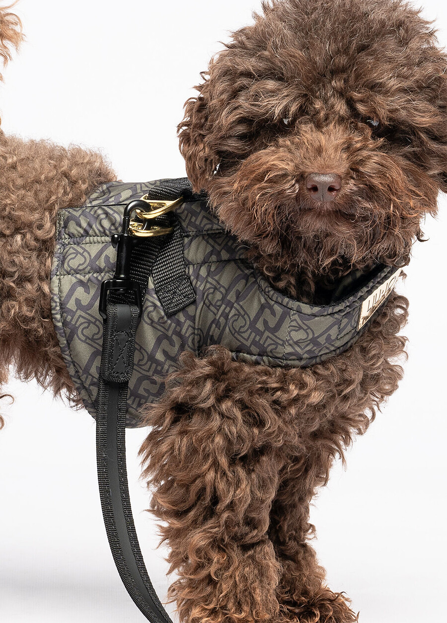 harnais pour animaux de compagnie liu jo
