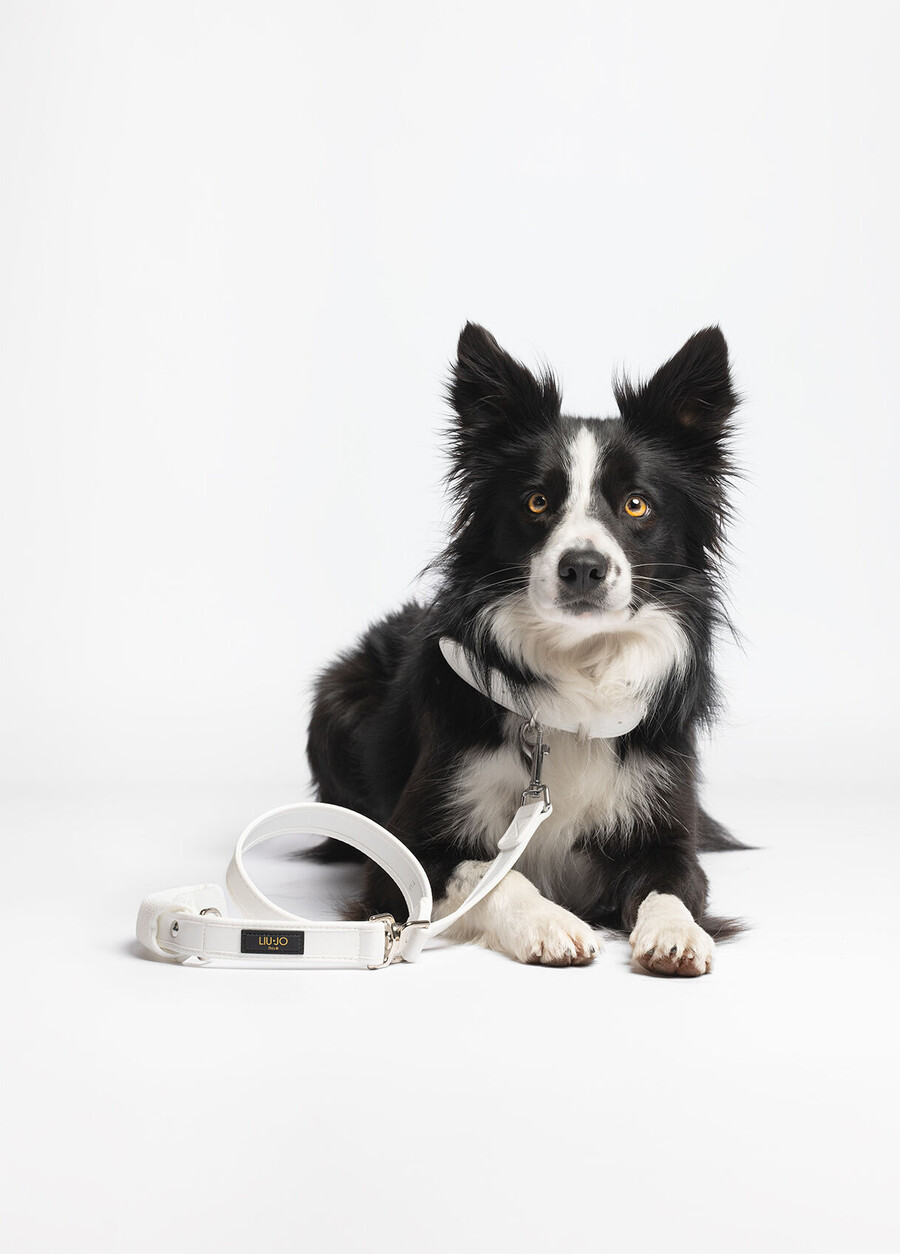 laisse grande taille liu jo pets