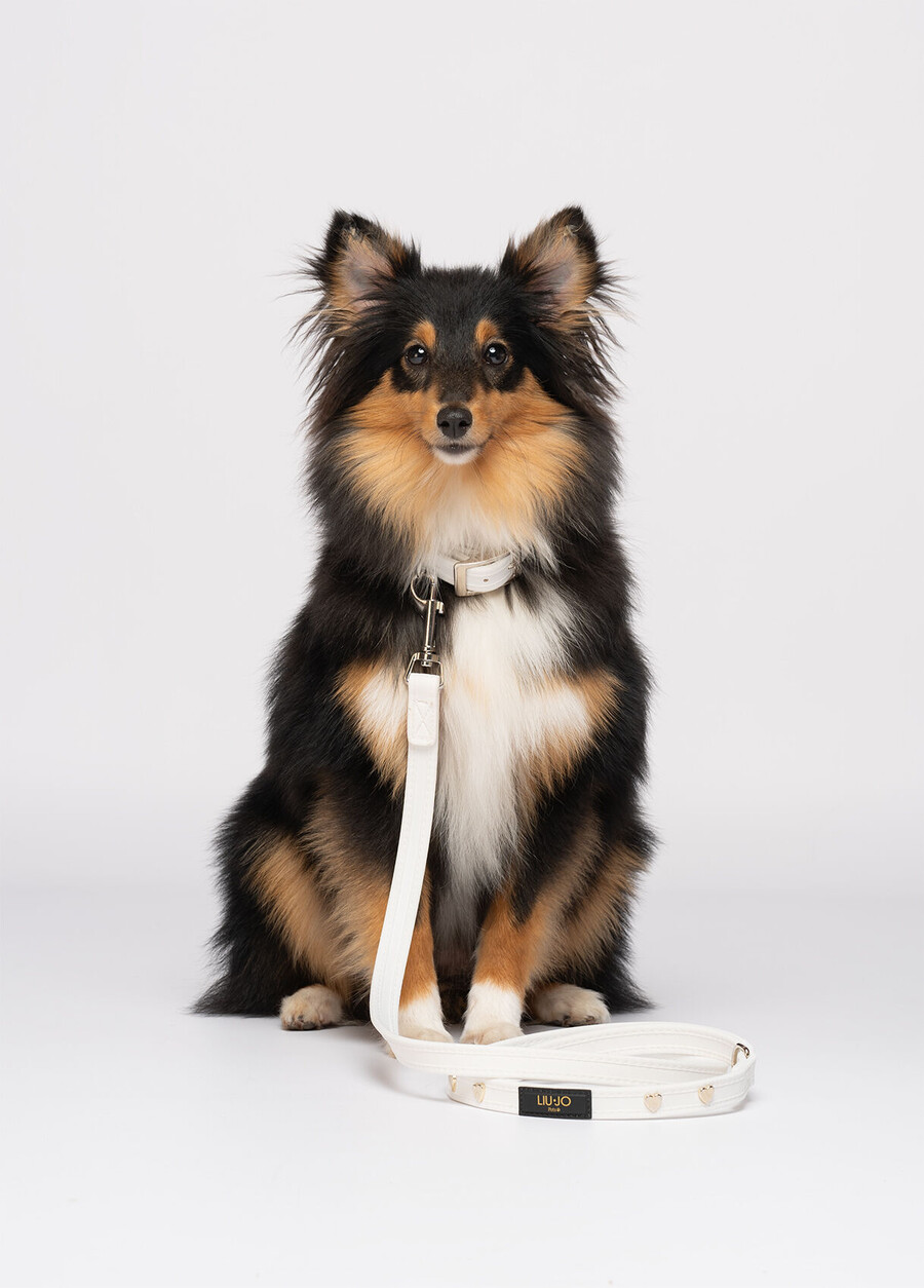 laisse pour animaux liu jo