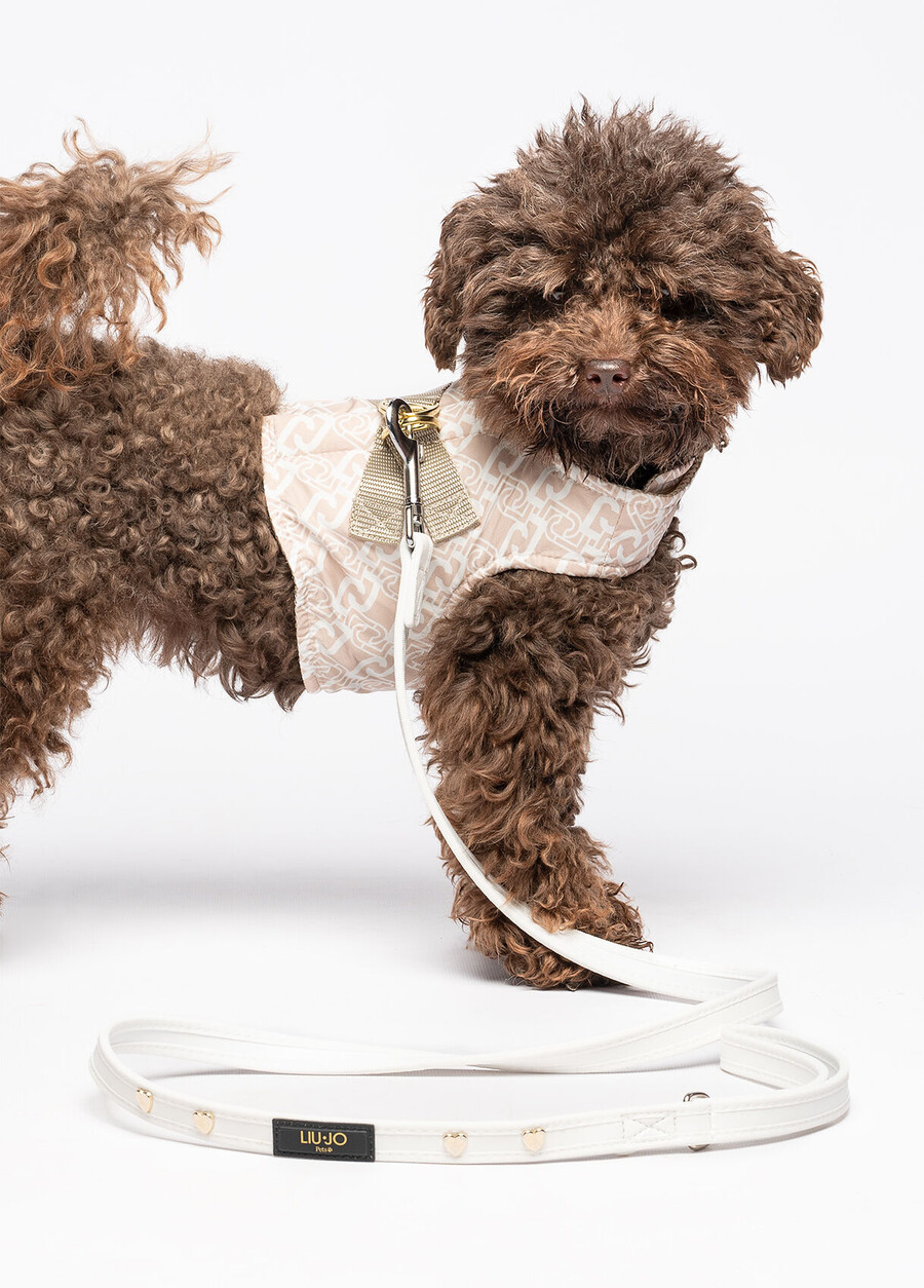 laisse pour animaux liu jo