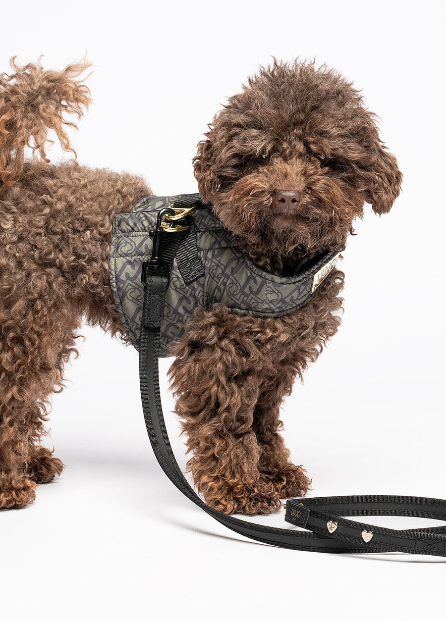 laisse pour animaux liu jo