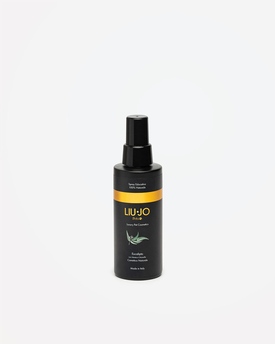 spray dentraînement 100 ml