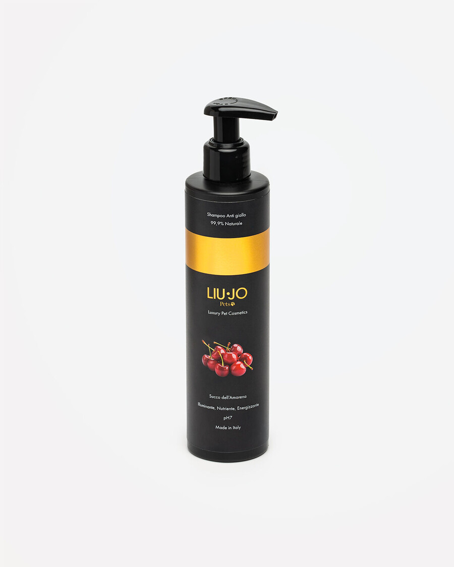 shampoing anti-jaunissement 250 ml