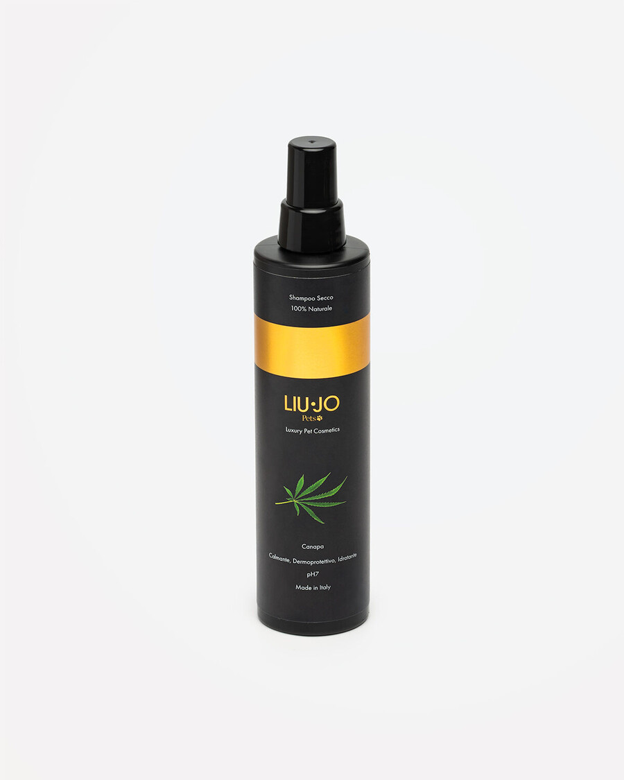 shampoing sec en spray 250 ml