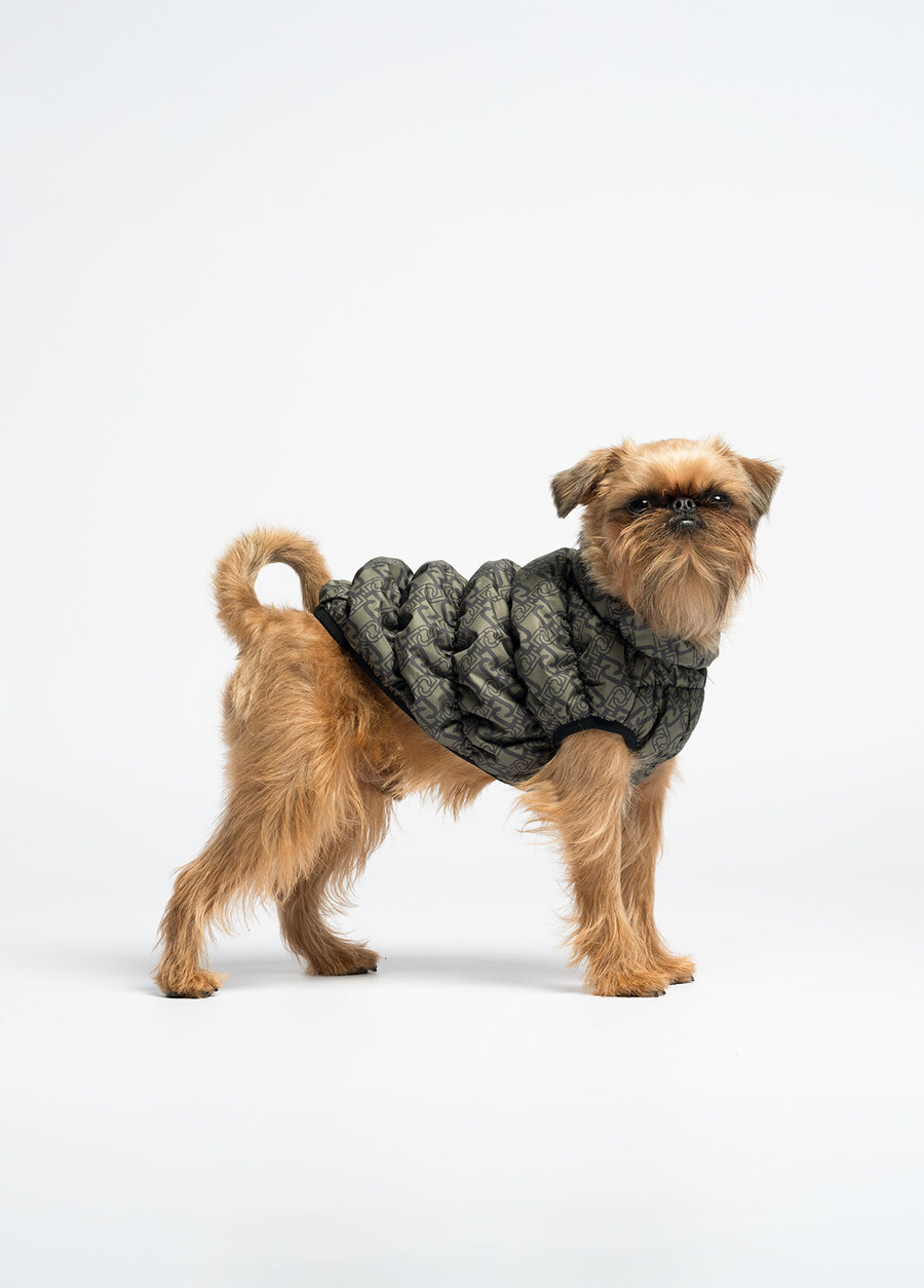 veste matelassée liu jo pets
