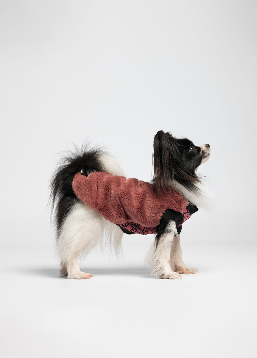 pull en laine et cachemire liu jo pets