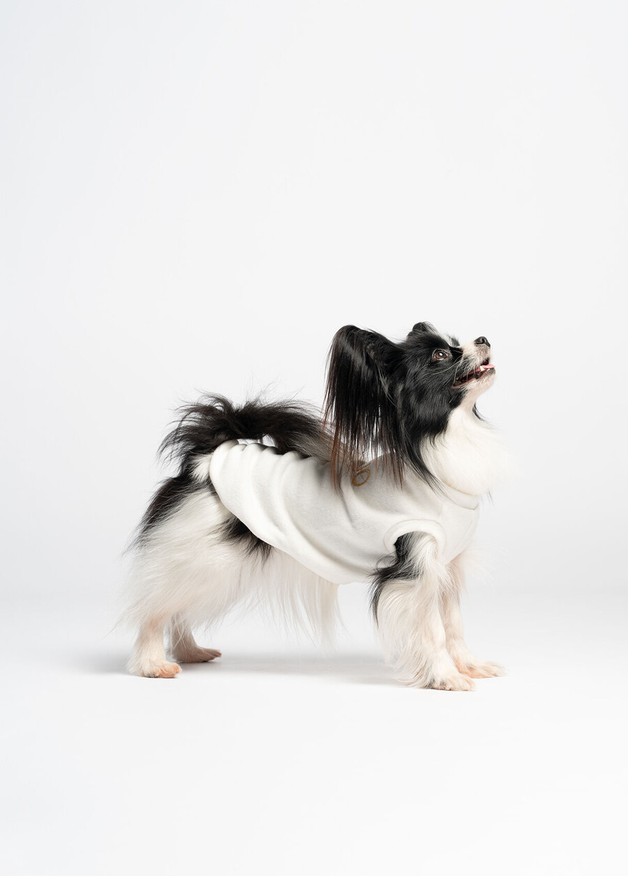 pull en coton liu jo pets
