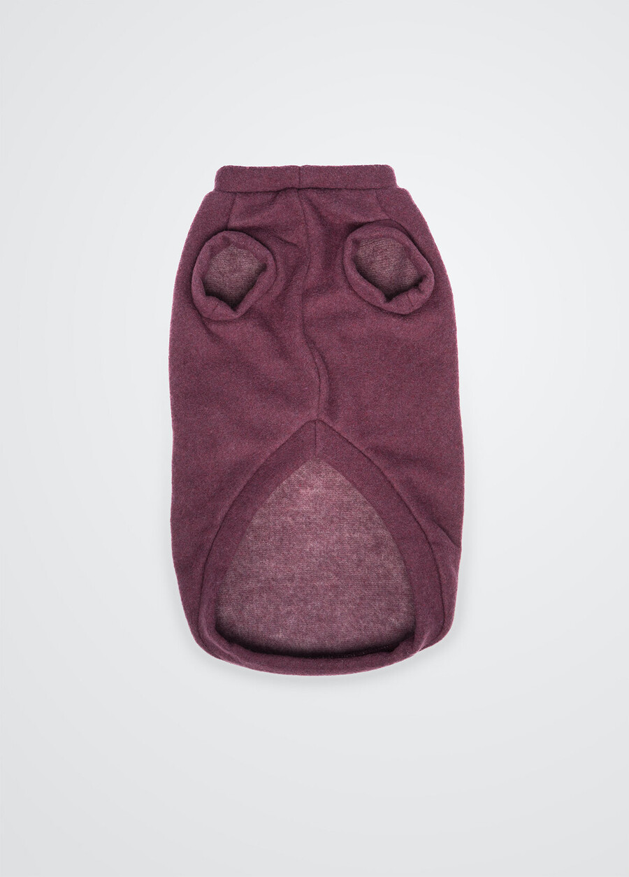 pull en coton liu jo pets