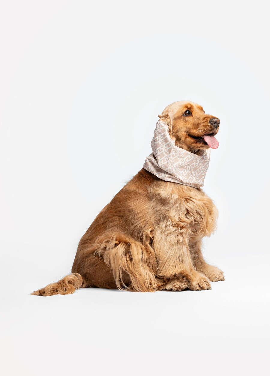 chauffe-oreilles et cache-cou liu jo pets