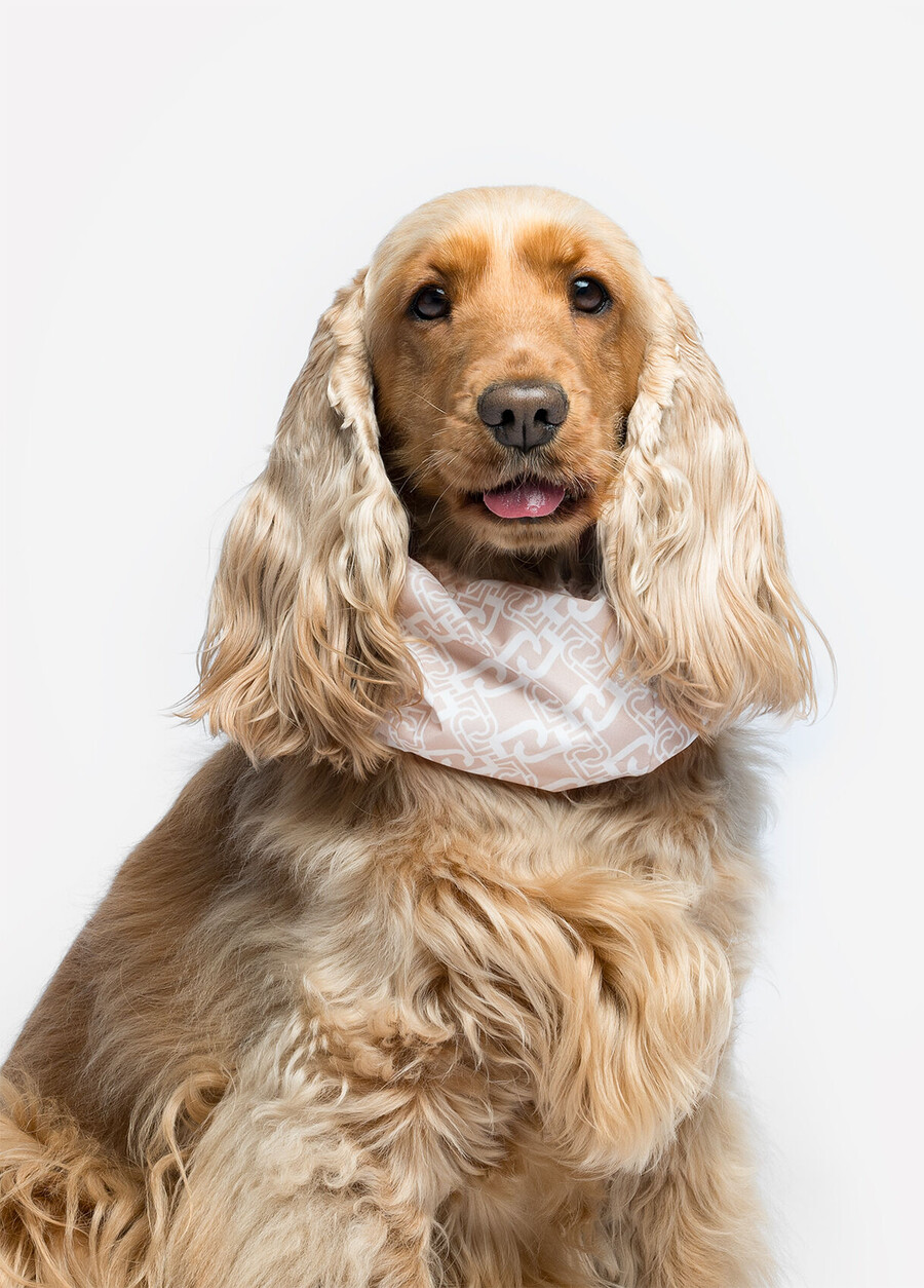 chauffe-oreilles et cache-cou liu jo pets