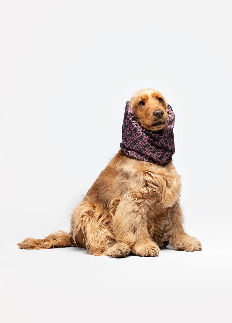 chauffe-oreilles et cache-cou liu jo pets