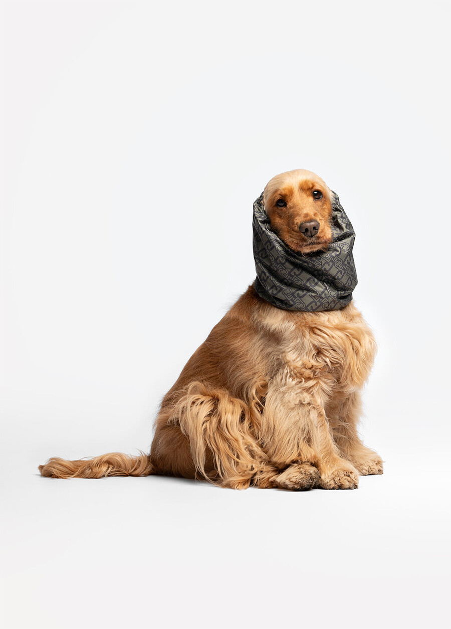 chauffe-oreilles et cache-cou liu jo pets