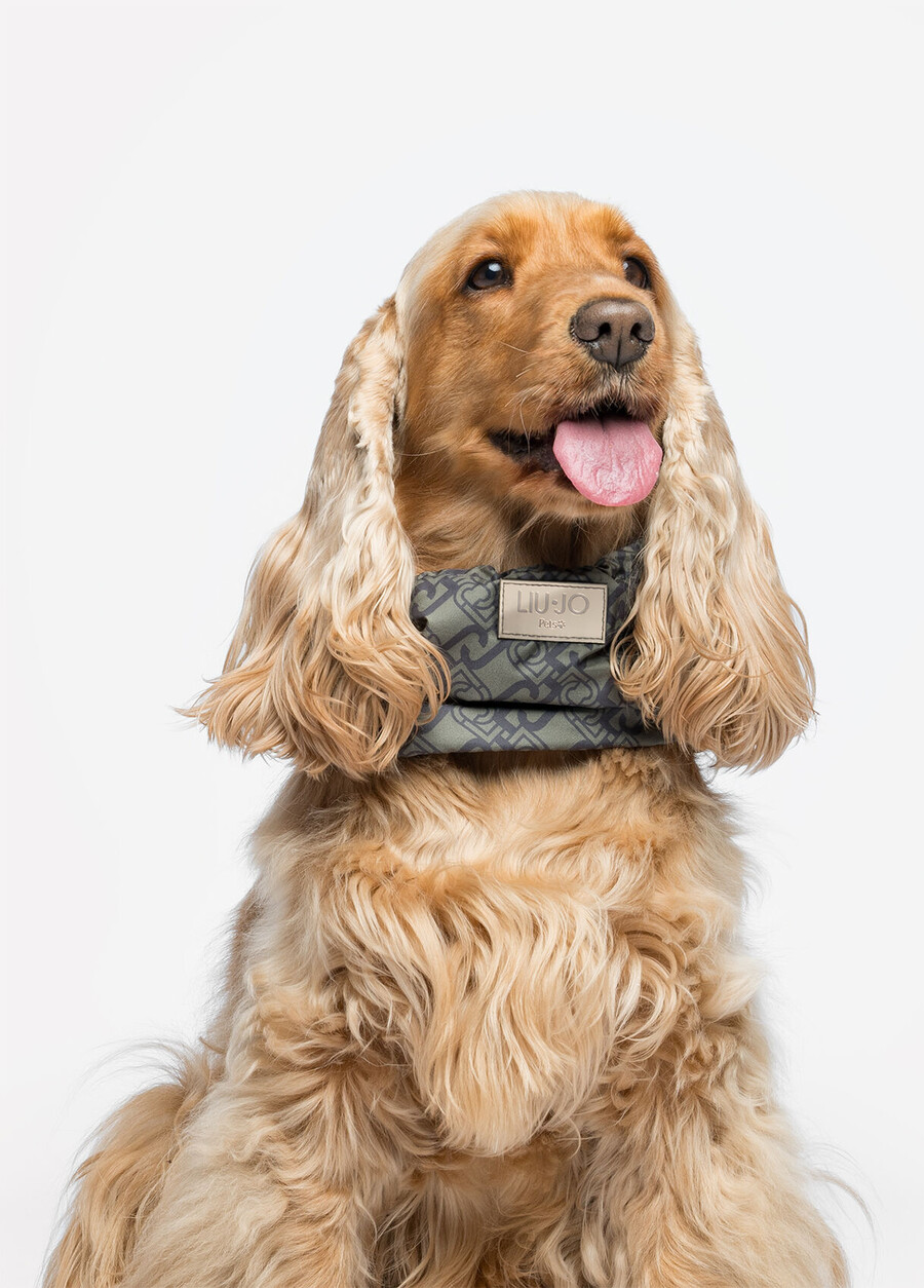 chauffe-oreilles et cache-cou liu jo pets