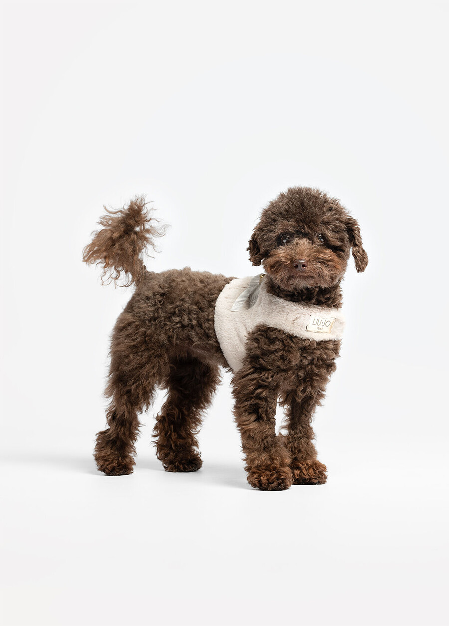 harnais pour ours en peluche liu jo pets