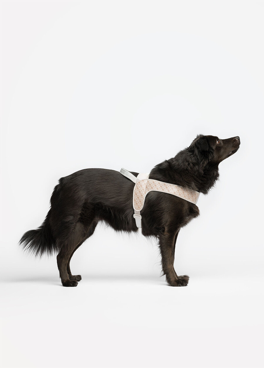 harnais liu jo pets pour animaux de compagnie grand modèle