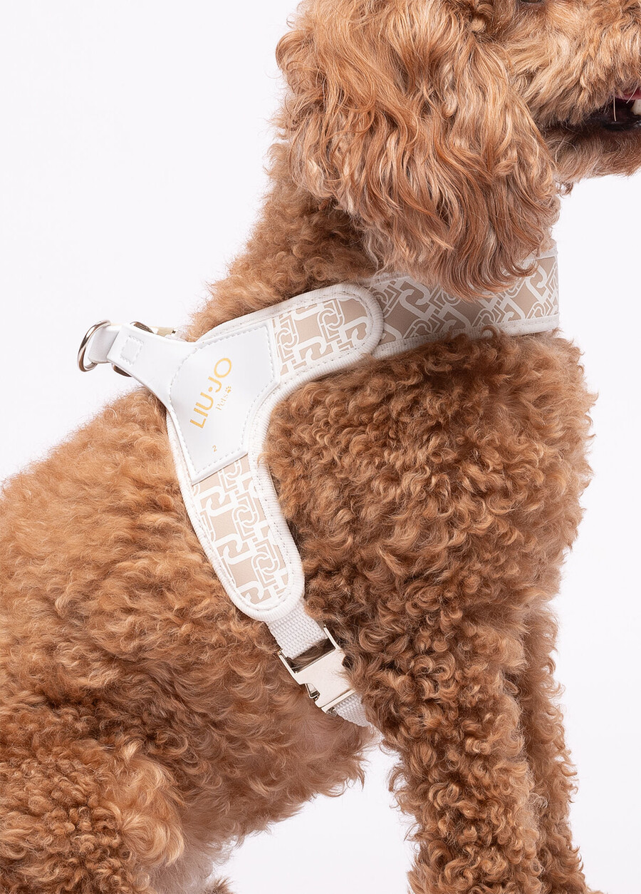 harnais pour animaux de compagnie liu jo