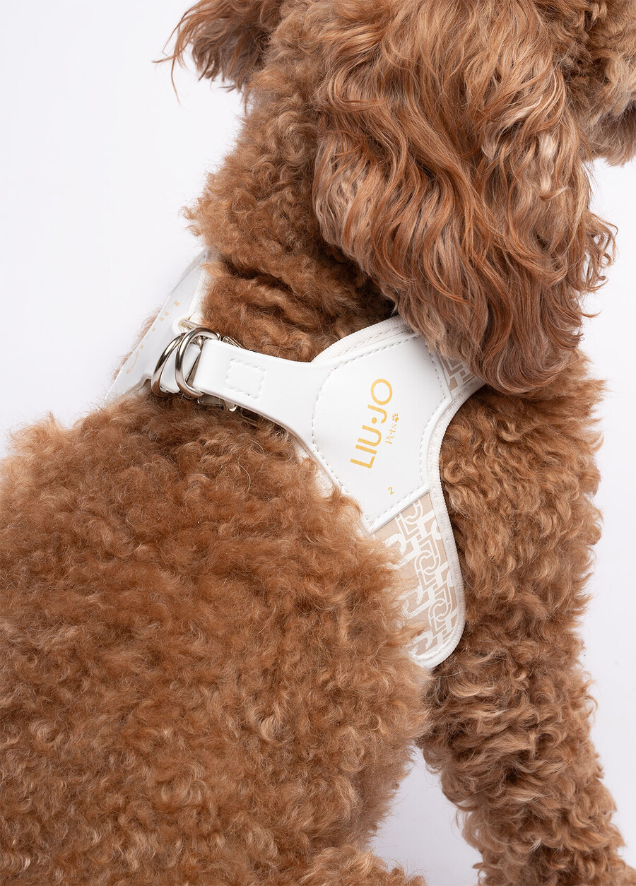 harnais pour animaux de compagnie liu jo