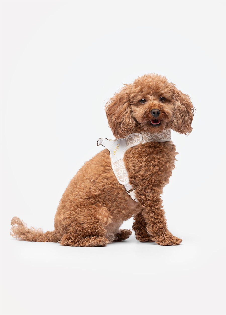 harnais pour animaux de compagnie liu jo