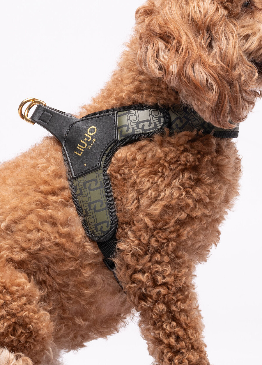 harnais pour animaux de compagnie liu jo