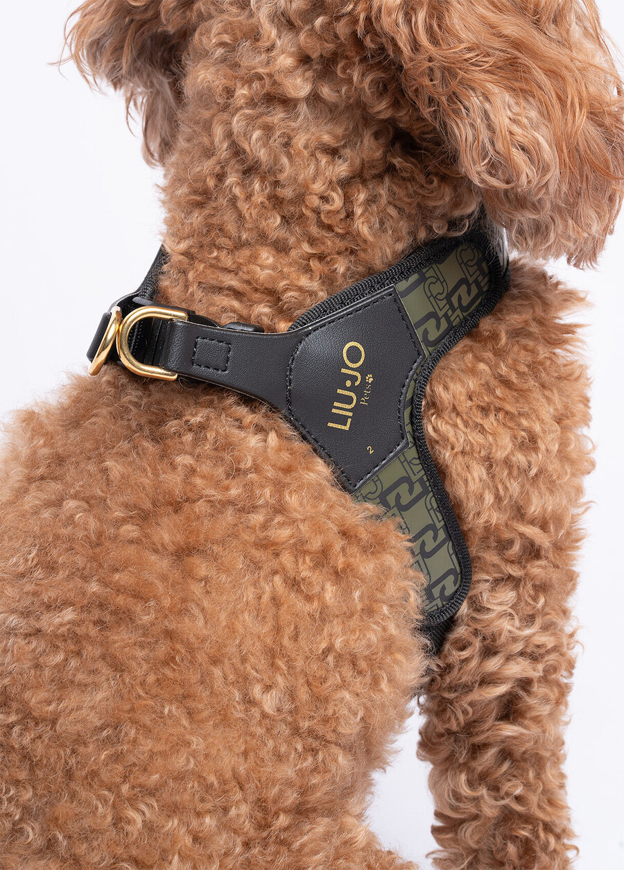 harnais pour animaux de compagnie liu jo