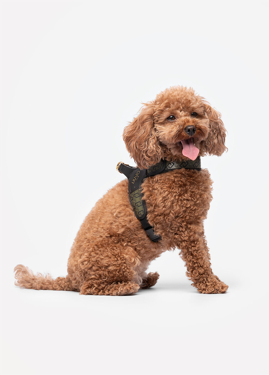 harnais pour animaux de compagnie liu jo