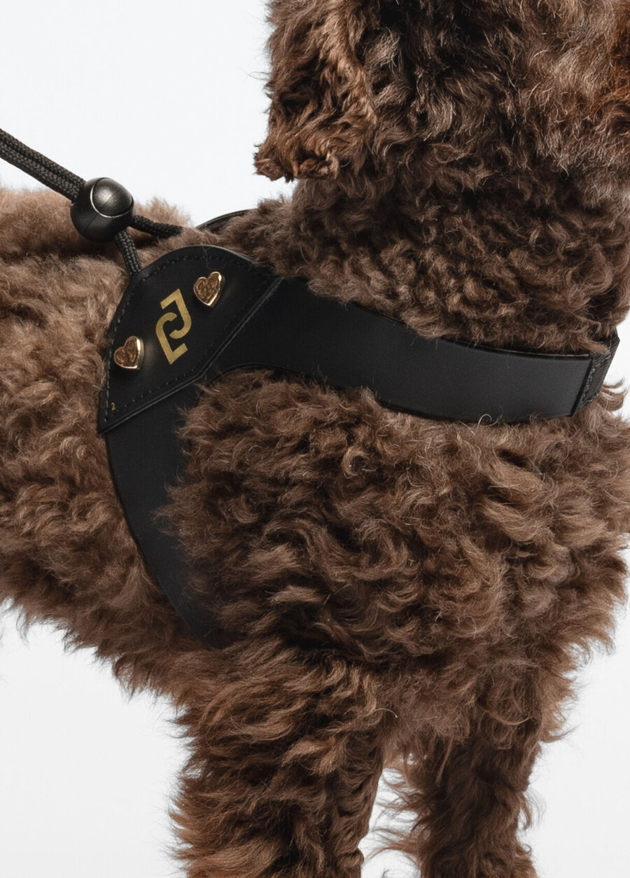 harnais pour animaux de compagnie liu jo