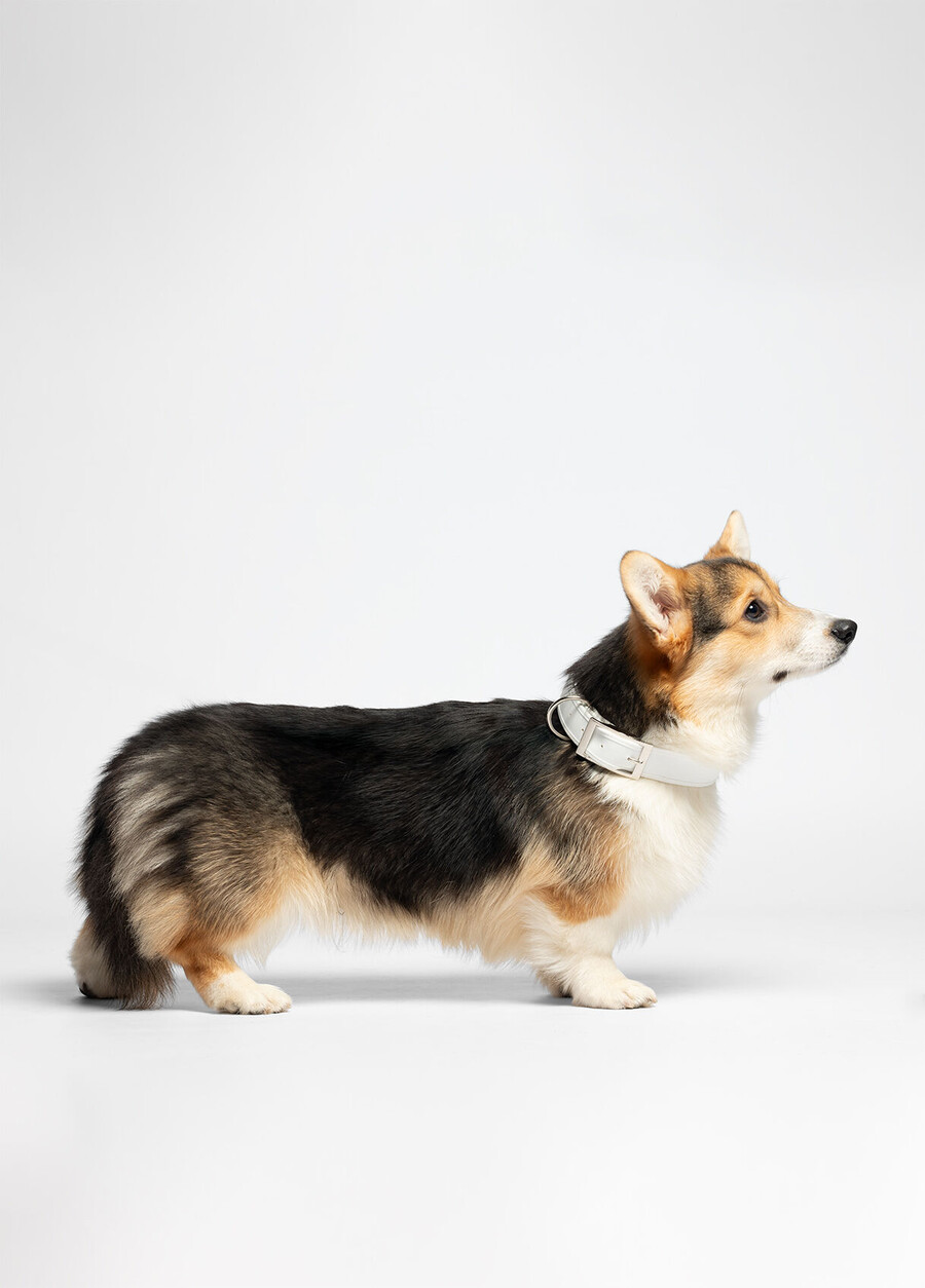 collier liu jo pets avec cœurs