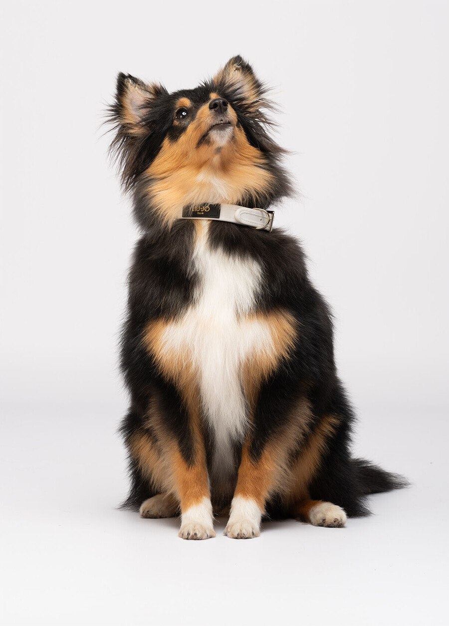 collier liu jo pets avec cœurs