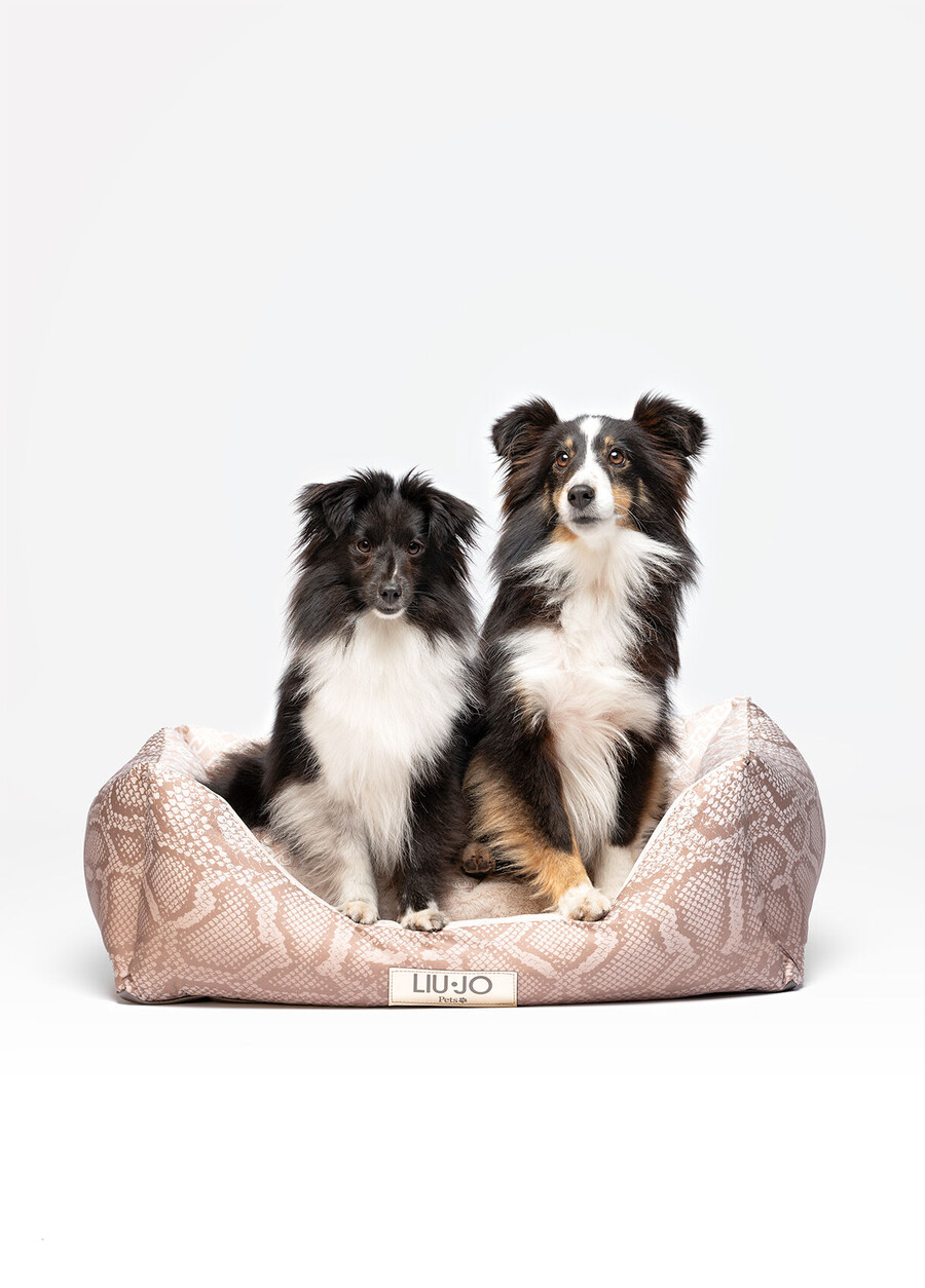 lit pour chien liu jo pets