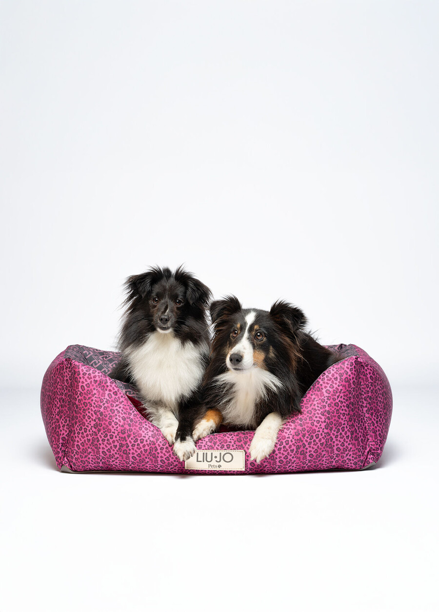 lit pour chien liu jo pets