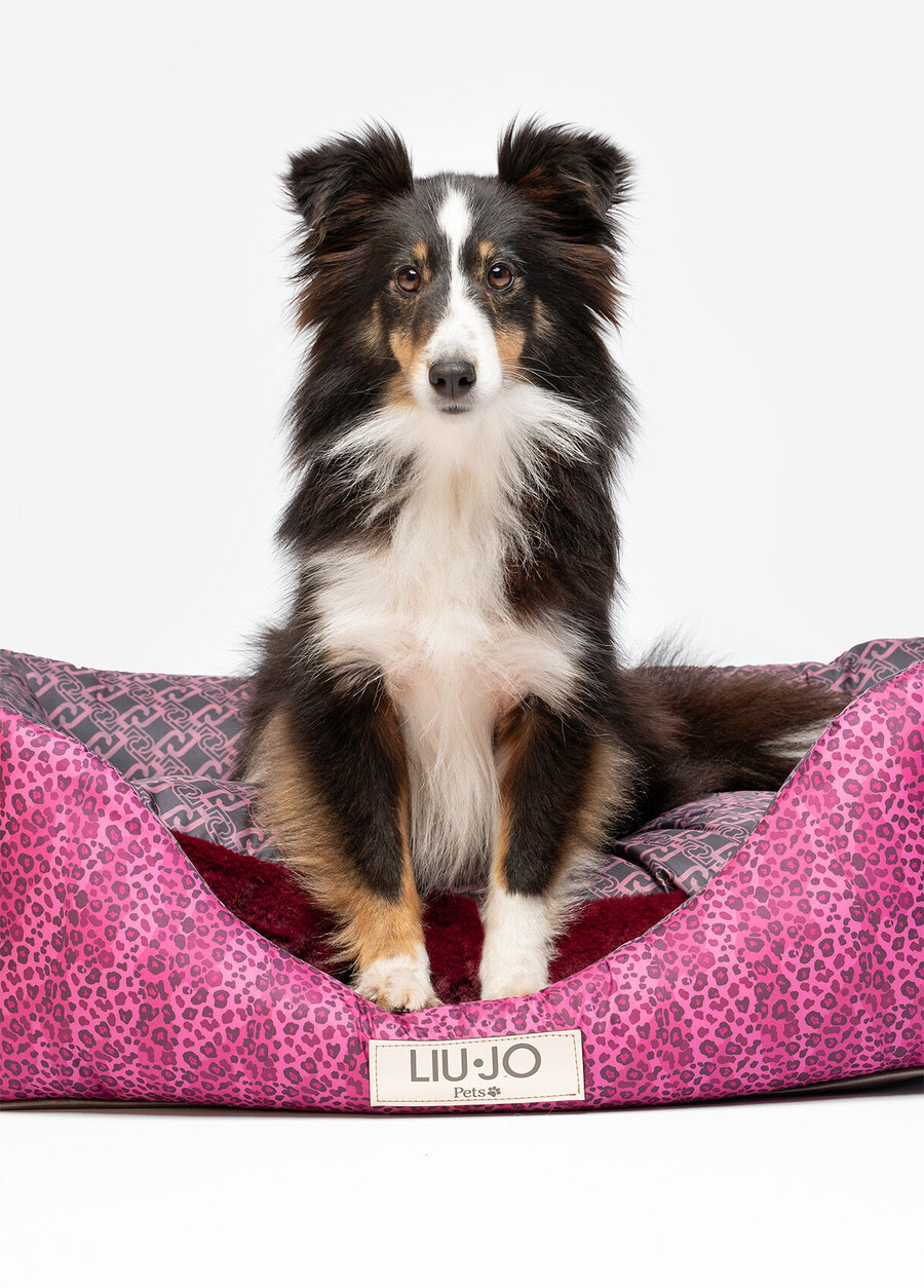 lit pour chien liu jo pets