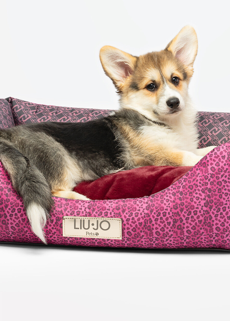 lit pour chien liu jo pets