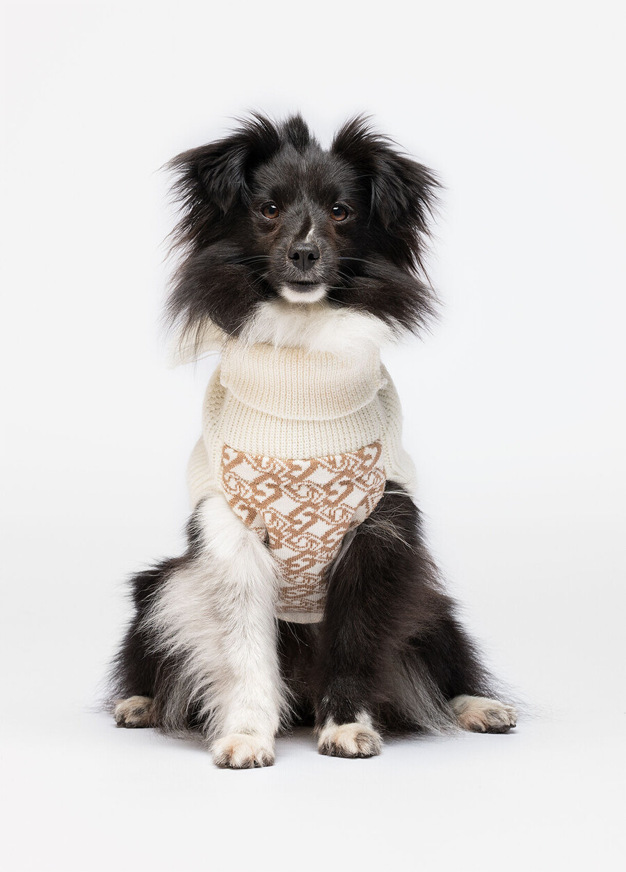 pull à col roulé en laine et cachemire liu jo pets
