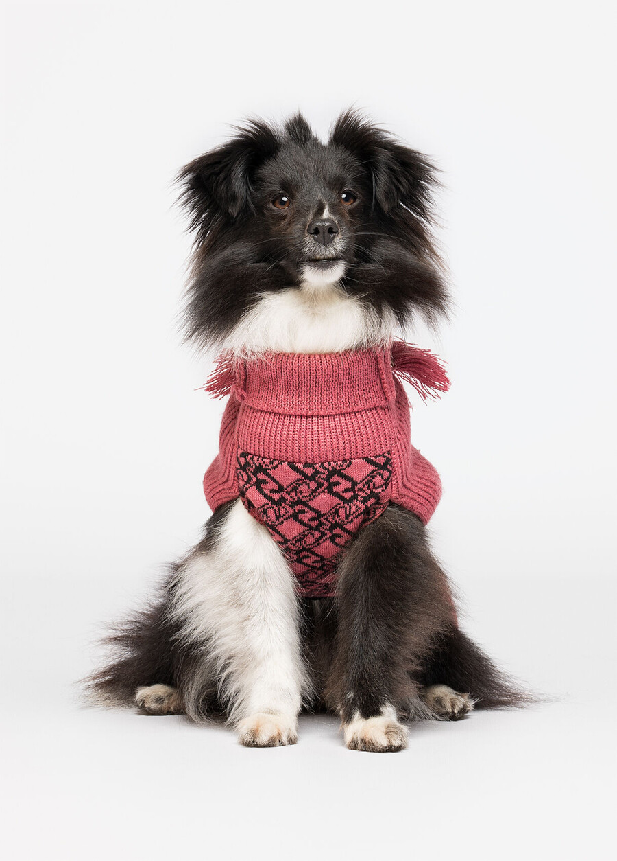 pull à col roulé en laine et cachemire liu jo pets